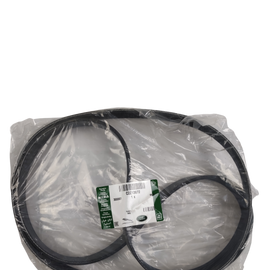 Jaguar Cinghia di trasmissione motore C2Z13672