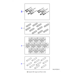Jaguar Cavi pre-terminati	418431