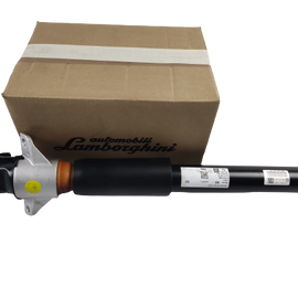 LAMBORGHINI Rear Shock Absorber 4M0513021BF